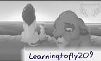 learningtofly209