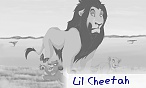 Lil Cheetah