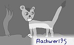 Flashwer195