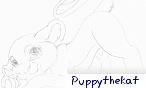 Puppythekat