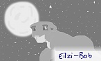 Eilzi-Bob