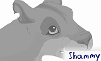 shammy