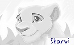 Sharvi