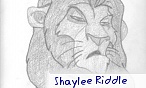 Shaylee Riddle