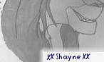 XX Shayne XX