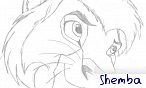 shemba