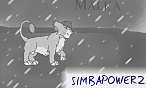 SIMBAPOWER2