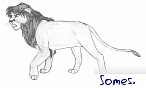 Senka