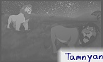 Tamnyan