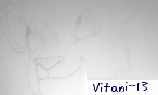 Vitani_13
