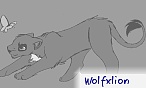 wolfxlion