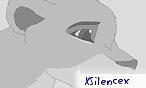 xSilencex