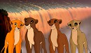 Katie, Kay, Sajatarious,And Naleu(In Order Below)