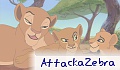 AttackaZebra