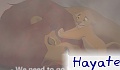 Hayate