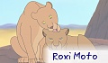 Roxi Moto