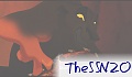 TheSSN20