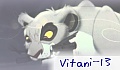 Vitani_13