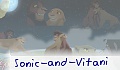 Sonic-and-Vitani