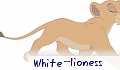 White_lioness