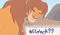 wildash99