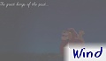 Hopeful Wishes
