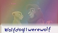Jeod The Wolf