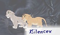 xSilencex