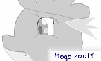 mogo zoo13 mogo zoo13