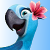 Officialjewelmacaw