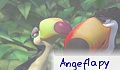 angeflapy angeflapy