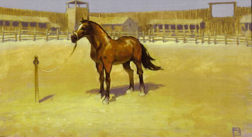 Horses