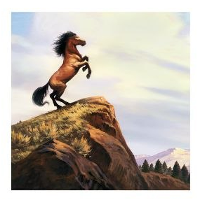 Horses