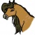 pegasusgirl123