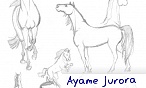 Ayame Jurora