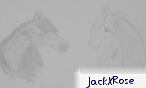 JackXRose