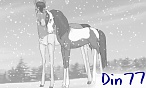 din77
