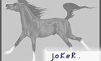 J.o.K.e.R .