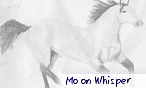 Moon Whisper