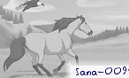 sana-0095