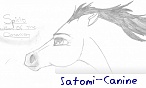 Satomi_Canine