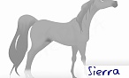 Sierra