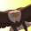 The Eagle