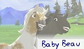 Baby Beau