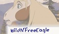 WildN'FreeEagle