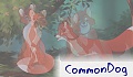 CommonDog CommonDog