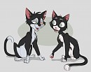 Mitaine & Baratine