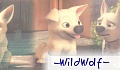 -WildWolf- -WildWolf-